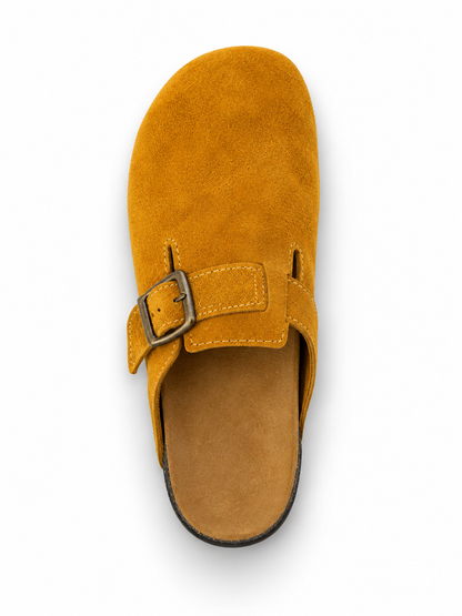 Haven Buckle Clogs in Ochre, EU 37–45, direct overhead top view, toe towards the top of the frame, whole shoe visible
